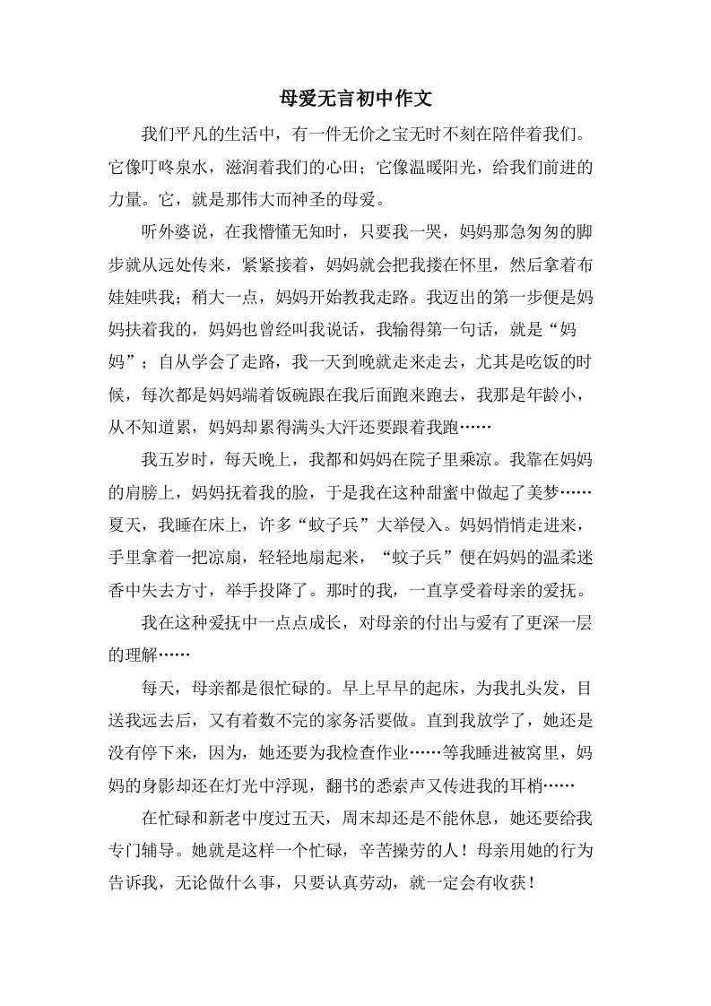 母爱无言初中作文