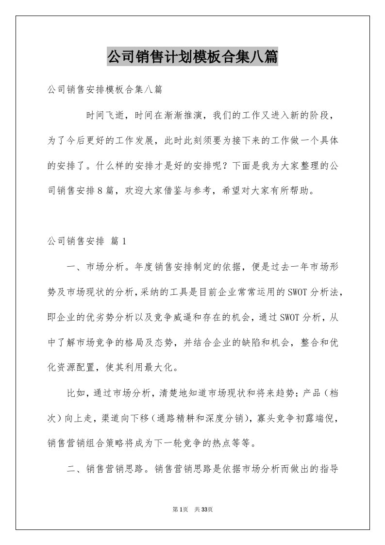 公司销售计划模板合集八篇例文