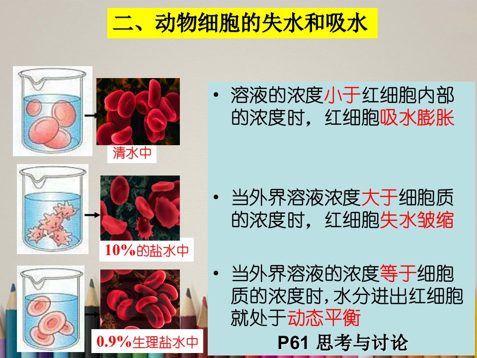 山东省巨野一中高中生物第四章细胞的物质输入和输出复习课件新人教版必修1