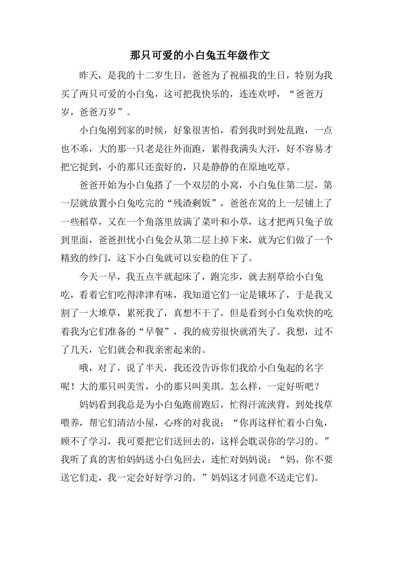 那只可爱的小白兔五年级作文