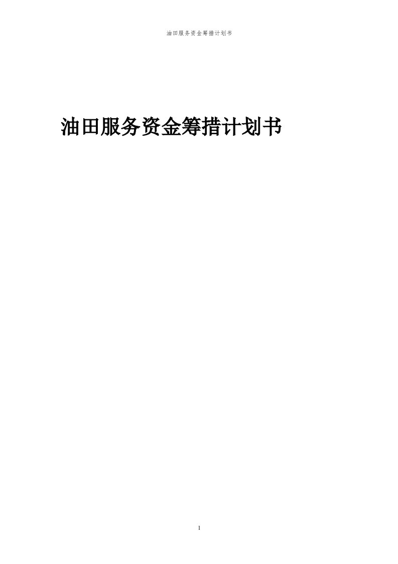 2024年油田服务资金筹措计划书代可行性研究报告