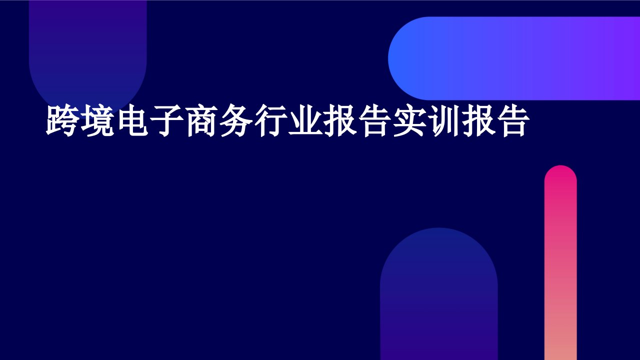 跨境电子商务行业报告实训报告