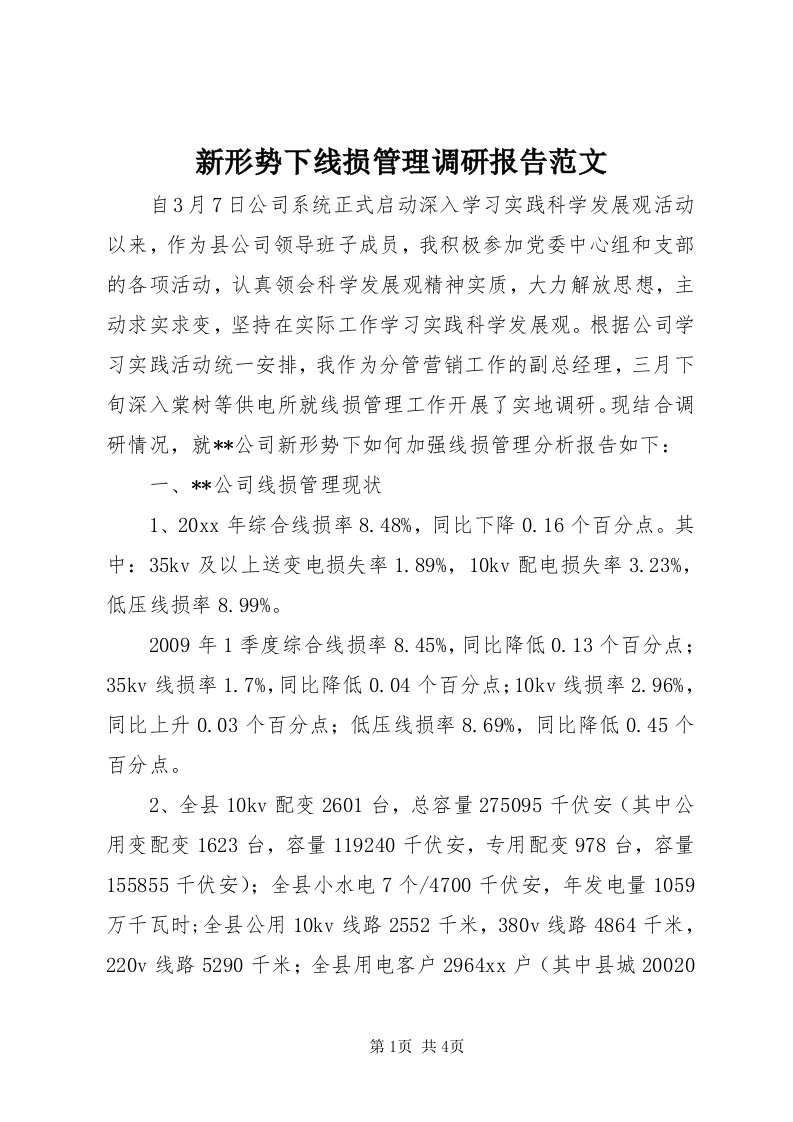 7新形势下线损管理调研报告范文