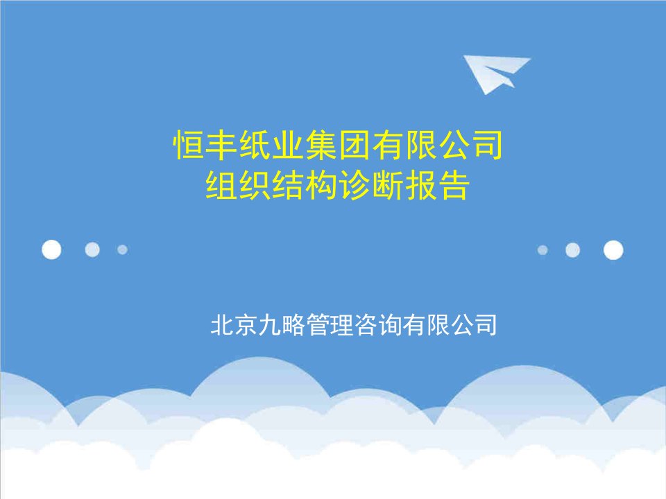 企业诊断-恒丰纸业集团有限公司组织结构诊断报告