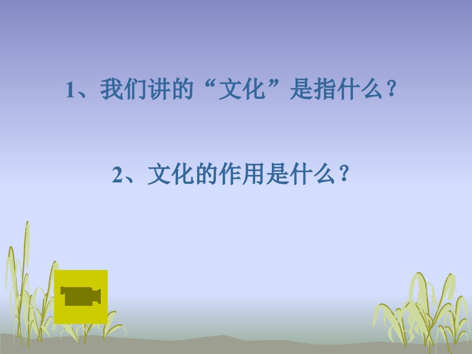 高二政治文化与社会文化与政治经济