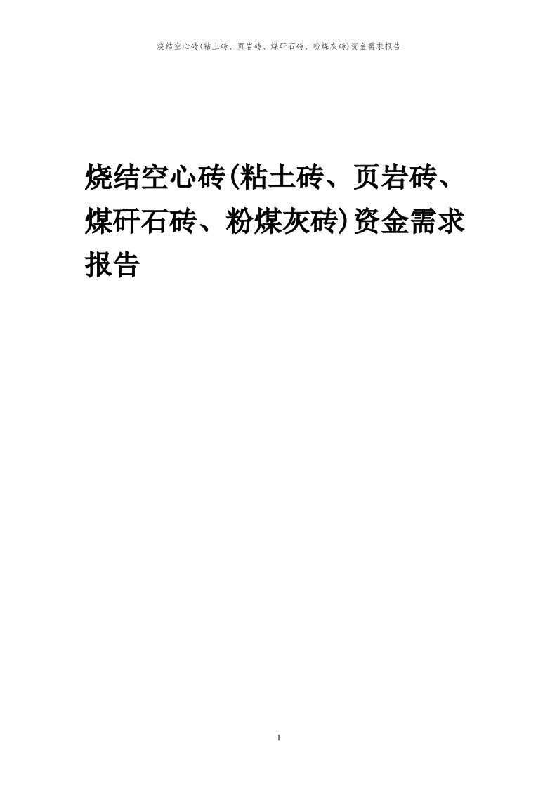 2024年烧结空心砖(粘土砖、页岩砖、煤矸石砖、粉煤灰砖)项目资金需求报告代可行性研究报告