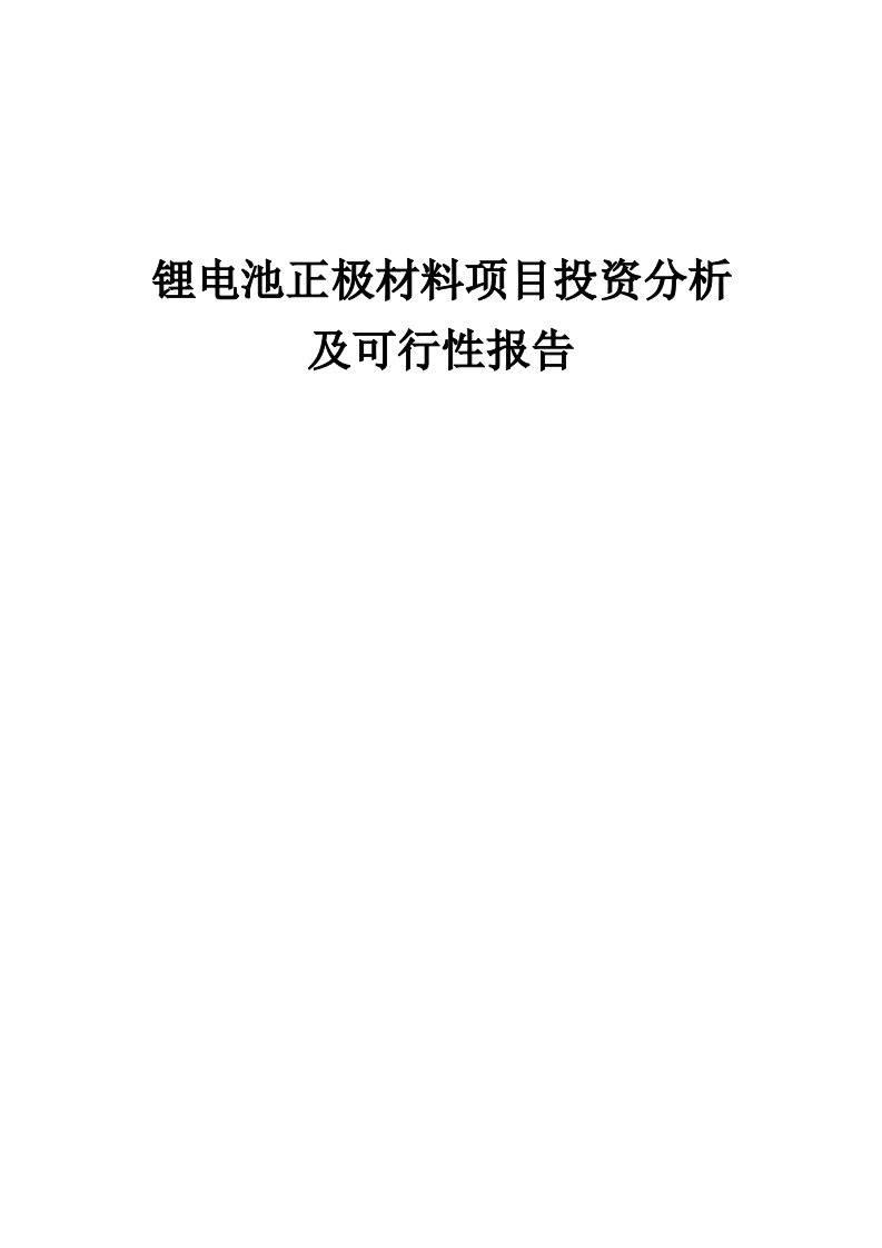 2024年锂电池正极材料项目投资分析及可行性报告