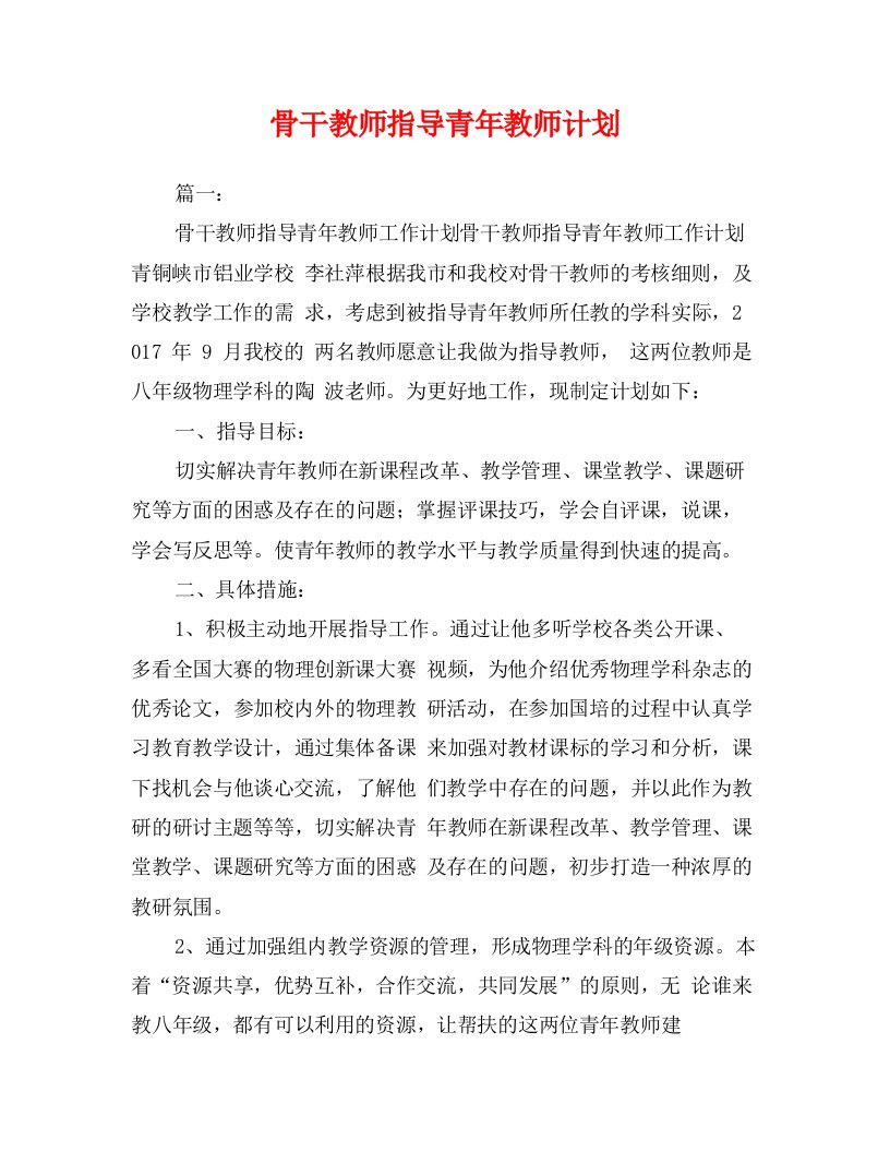 骨干教师指导青年教师计划