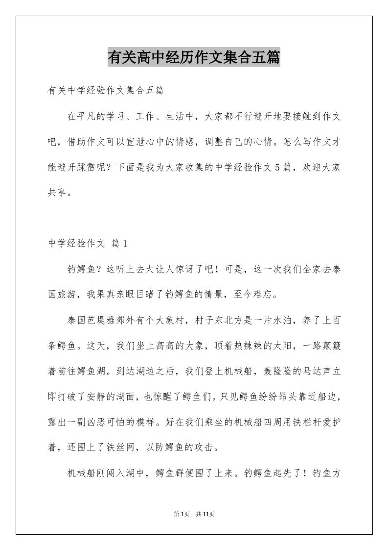 有关高中经历作文集合五篇