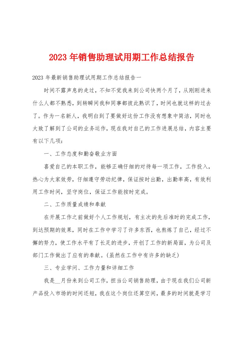 2023年销售助理试用期工作总结报告