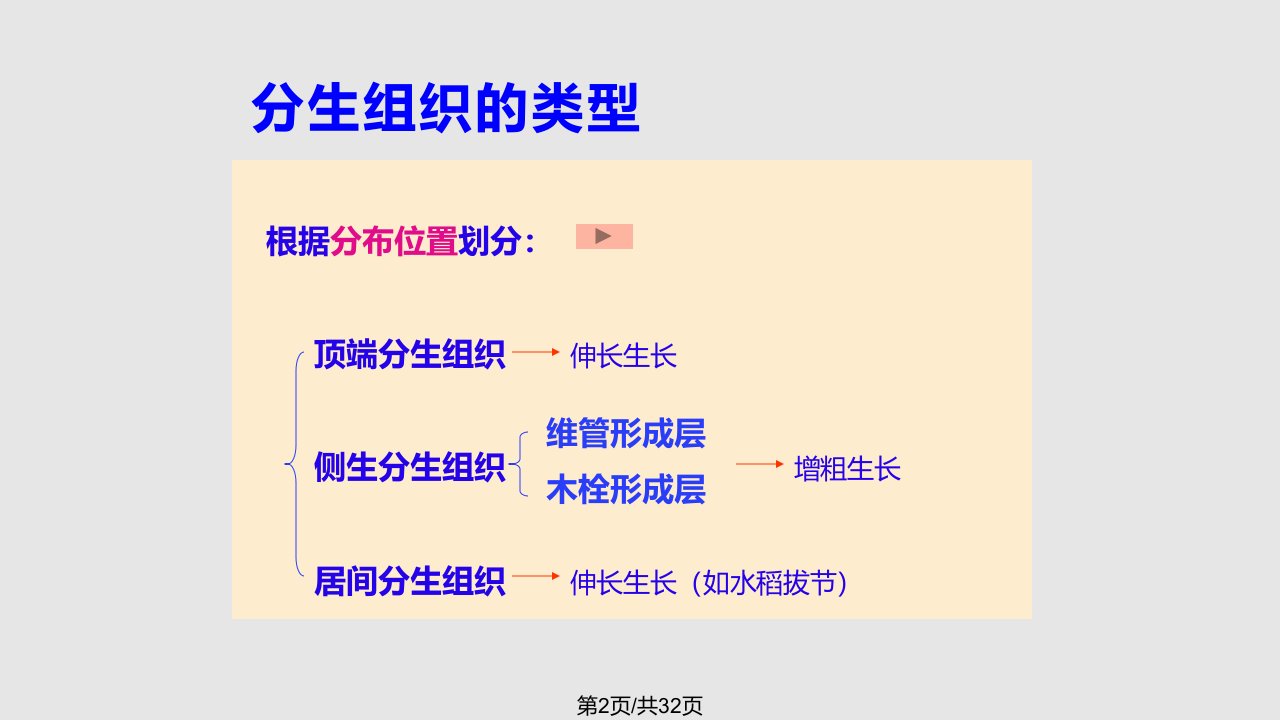 普通生物学植物组织