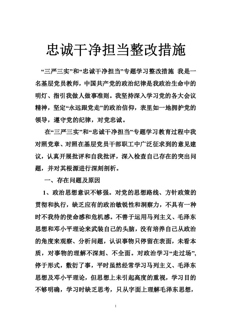 忠诚干净担当整改措施