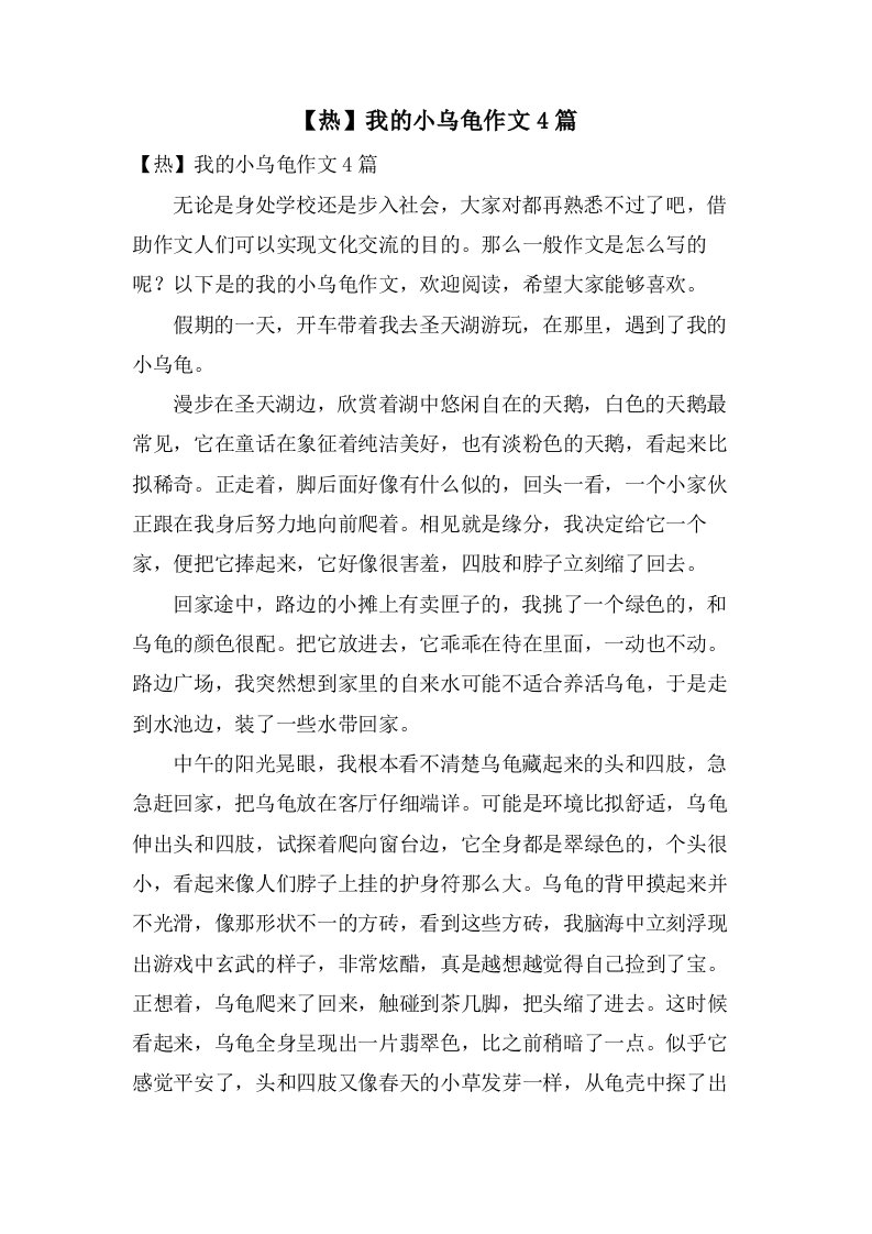 我的小乌龟作文4篇