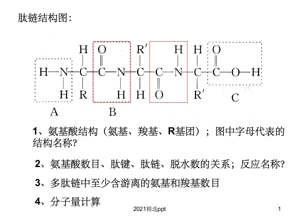 高中生物复习(学考)ppt课件