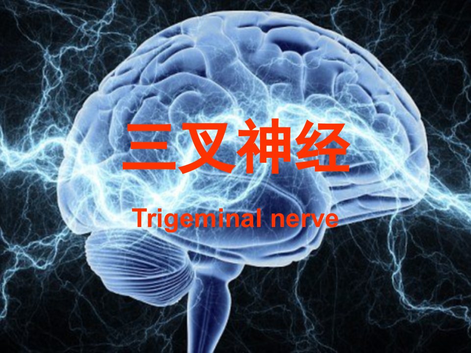 三叉神经ppt课件