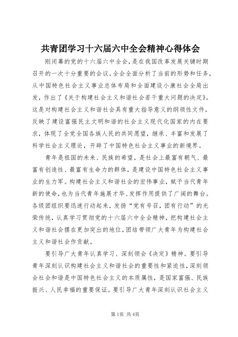 共青团学习十六届六中全会精神心得体会