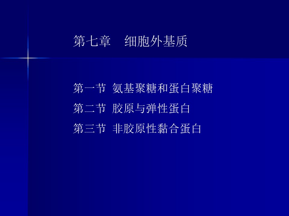 第七章细胞外基质和细胞外被