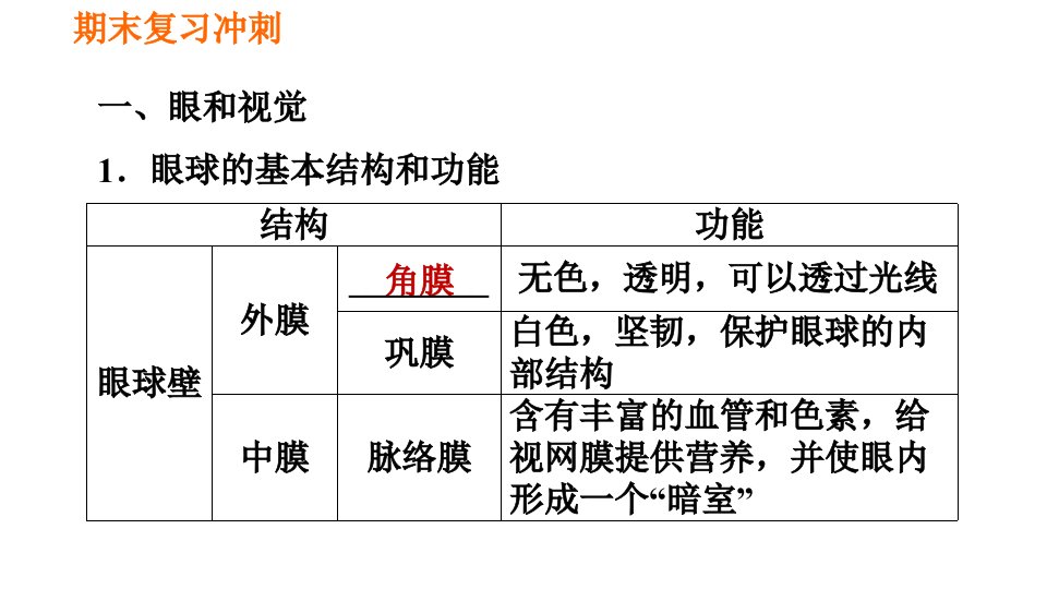 人教版七年级下册生物期末部分第六章人体生命活动的调节课件