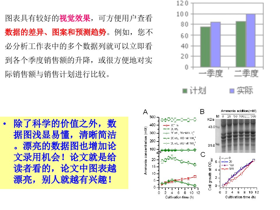 Origin软件详细教程经典课件