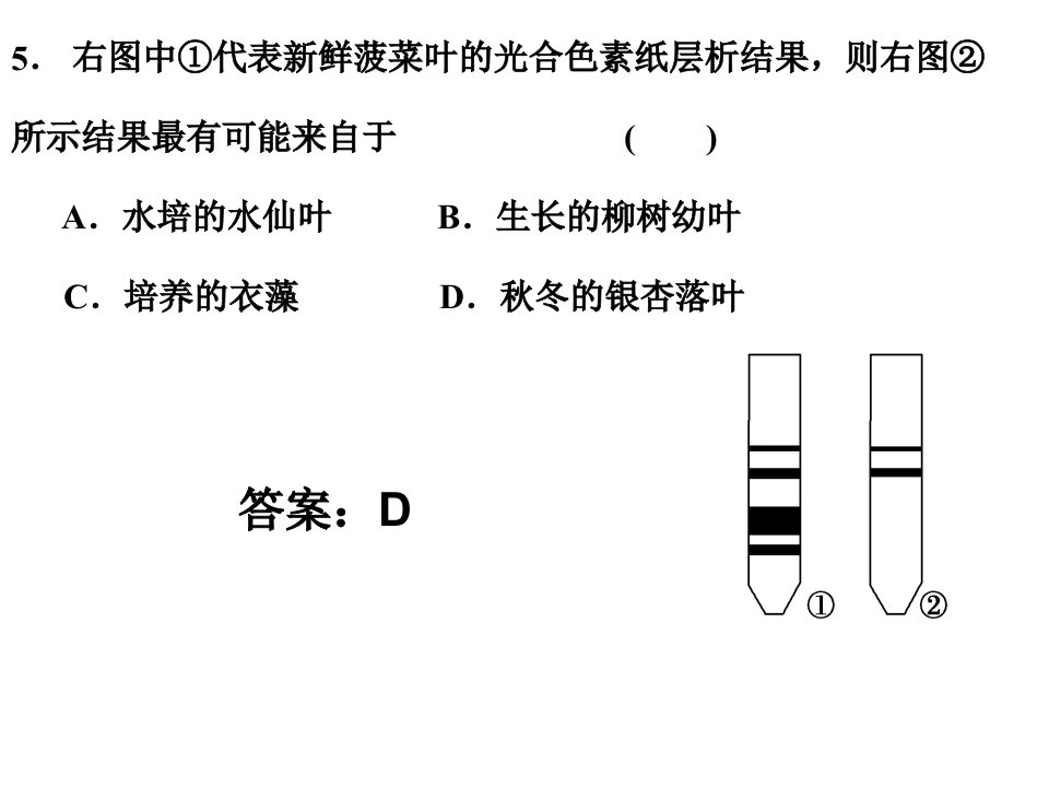 《光合作用练习》PPT课件