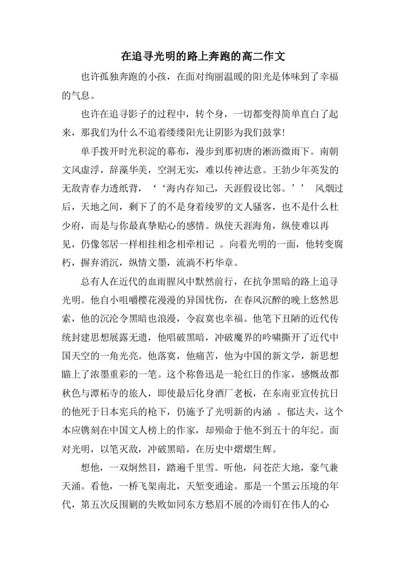 在追寻光明的路上奔跑的高二作文