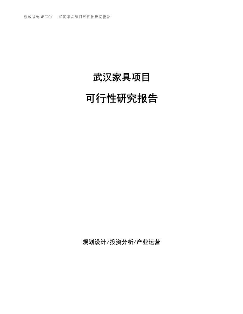 武汉家具项目可行性研究报告