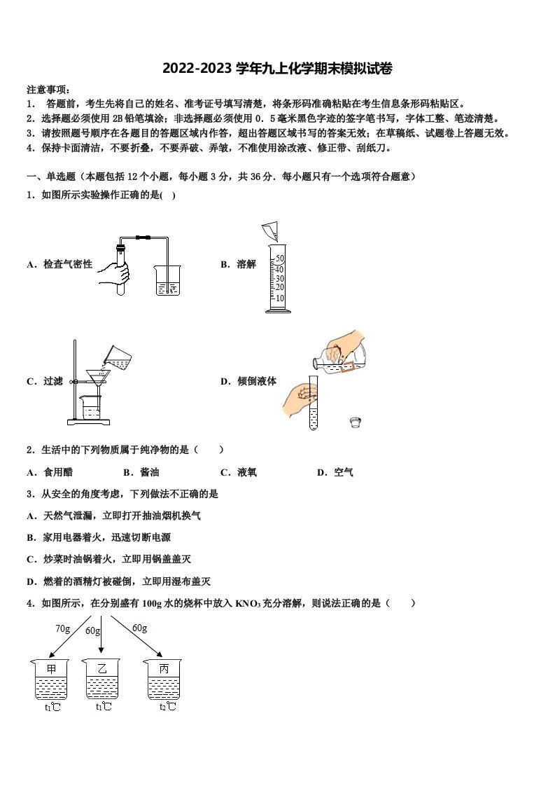 2023届天津市北辰区九年级化学第一学期期末检测模拟试题含解析