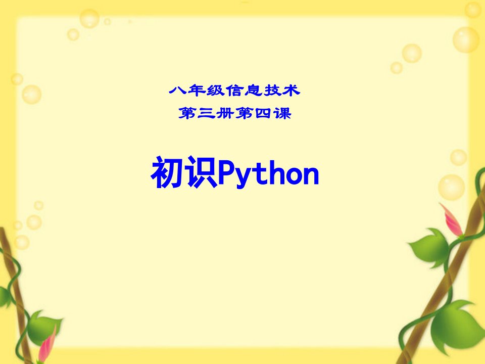 初中信息技术优质ppt-初识Python【课件】