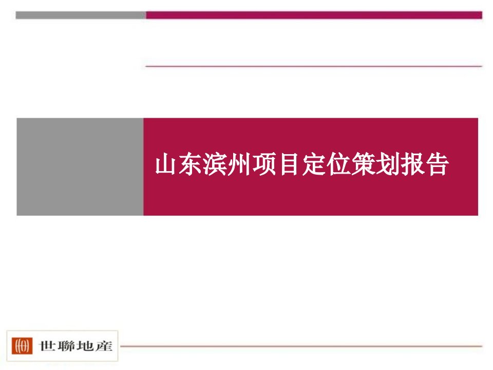 世联-山东省滨州市500亩项目地块产品定位-128ppt