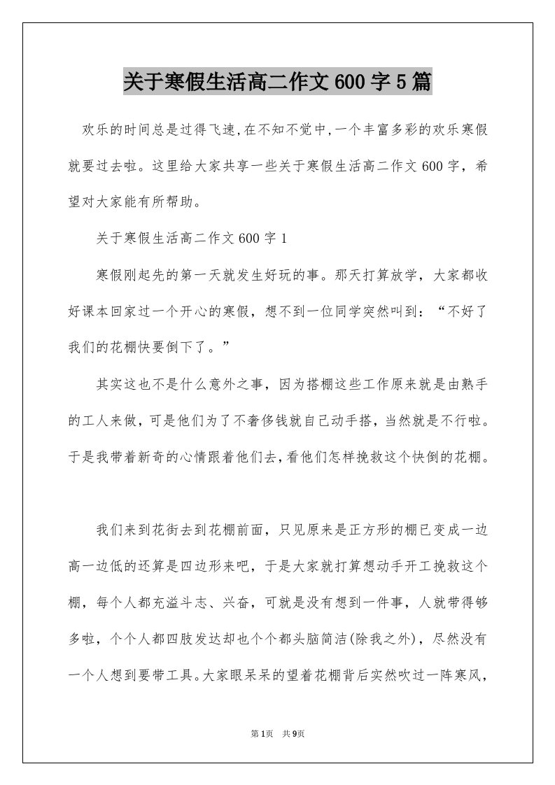 关于寒假生活高二作文600字5篇