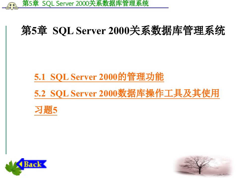 数据库技术及应用第5章sqlserver2000关系数据库管理系统