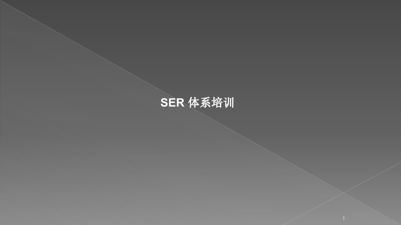 SER管理体系ppt课件