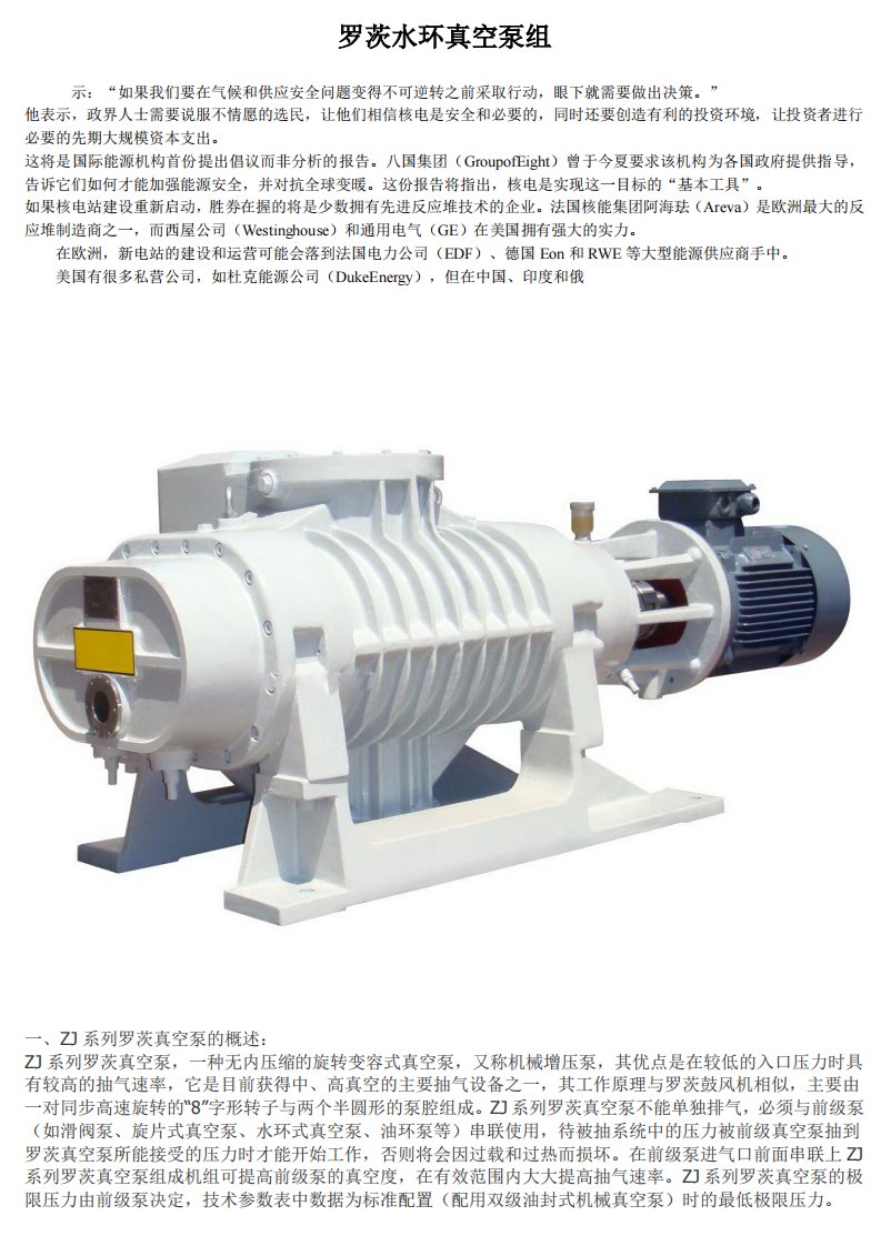 《罗茨水环真空泵组》