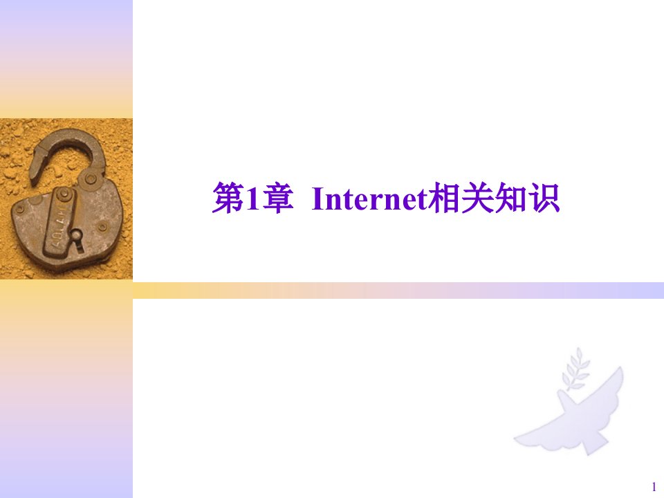 《Internet相关知识》PPT课件