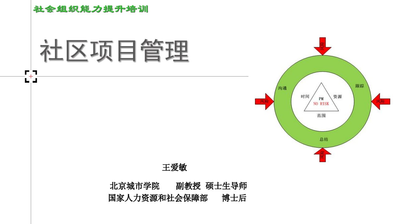 社会组织能力项目管理-副本