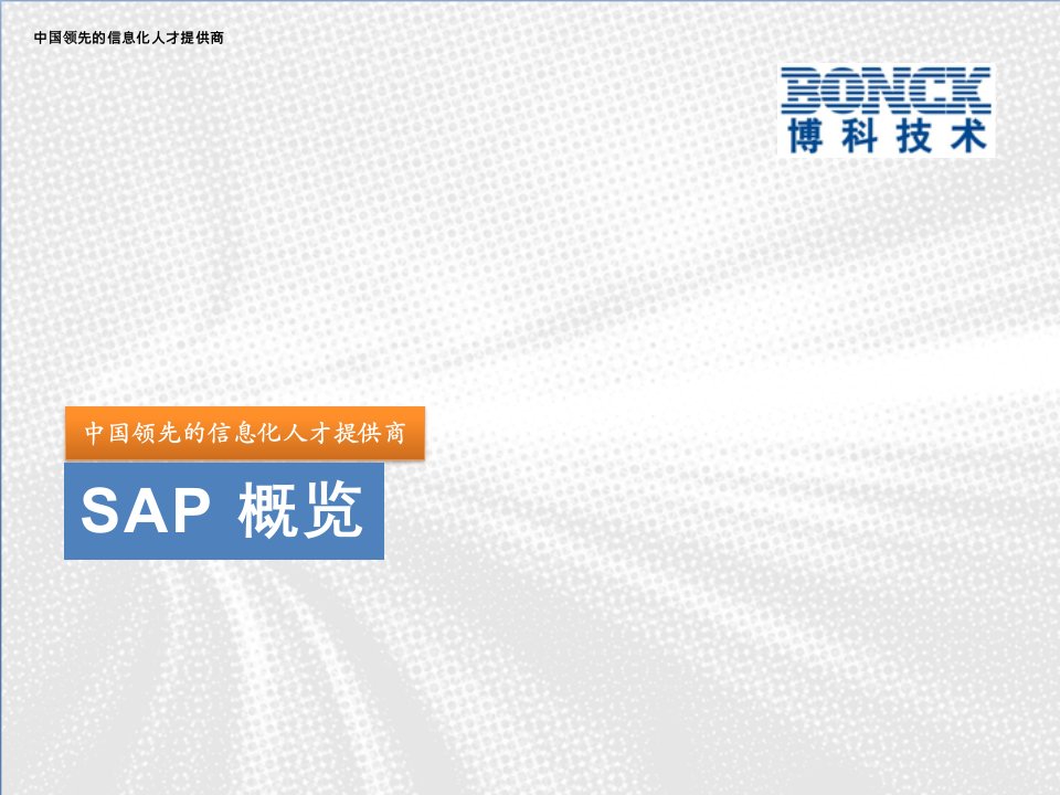 《SAP公司简介》PPT课件