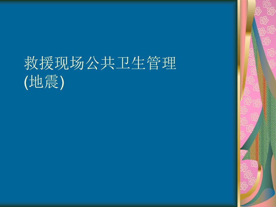 救援现场公共卫生管理ppt课件