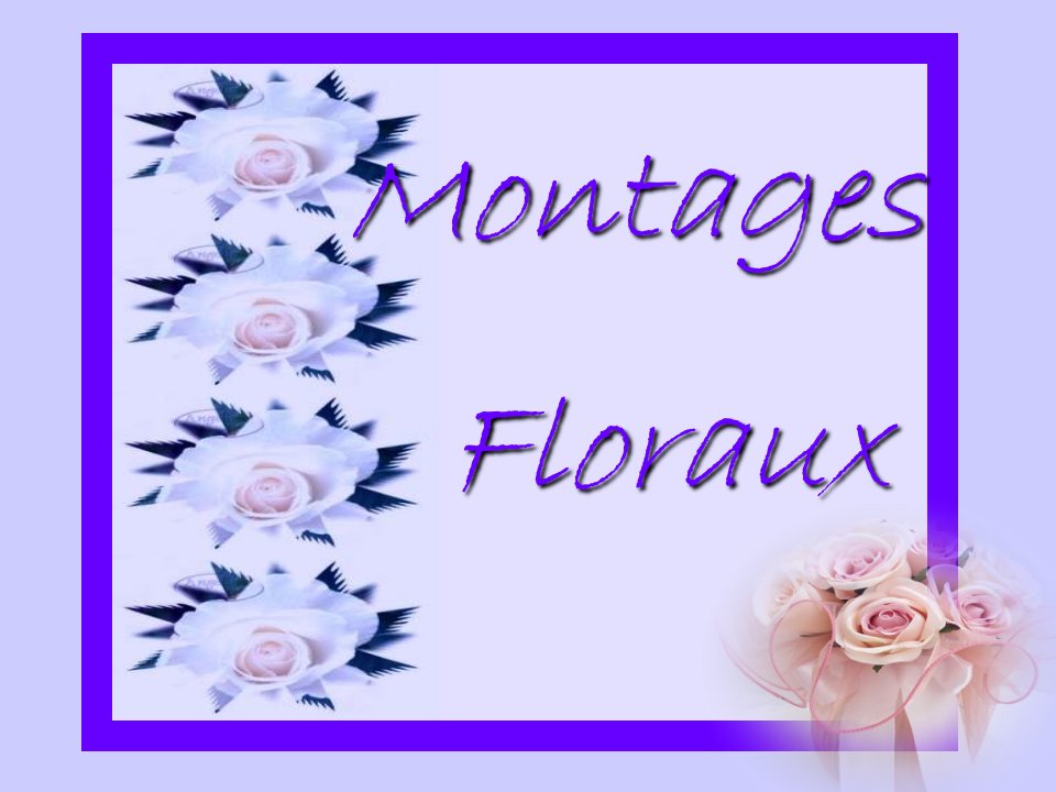 蒙太奇花卉艺术Montages+Floraux