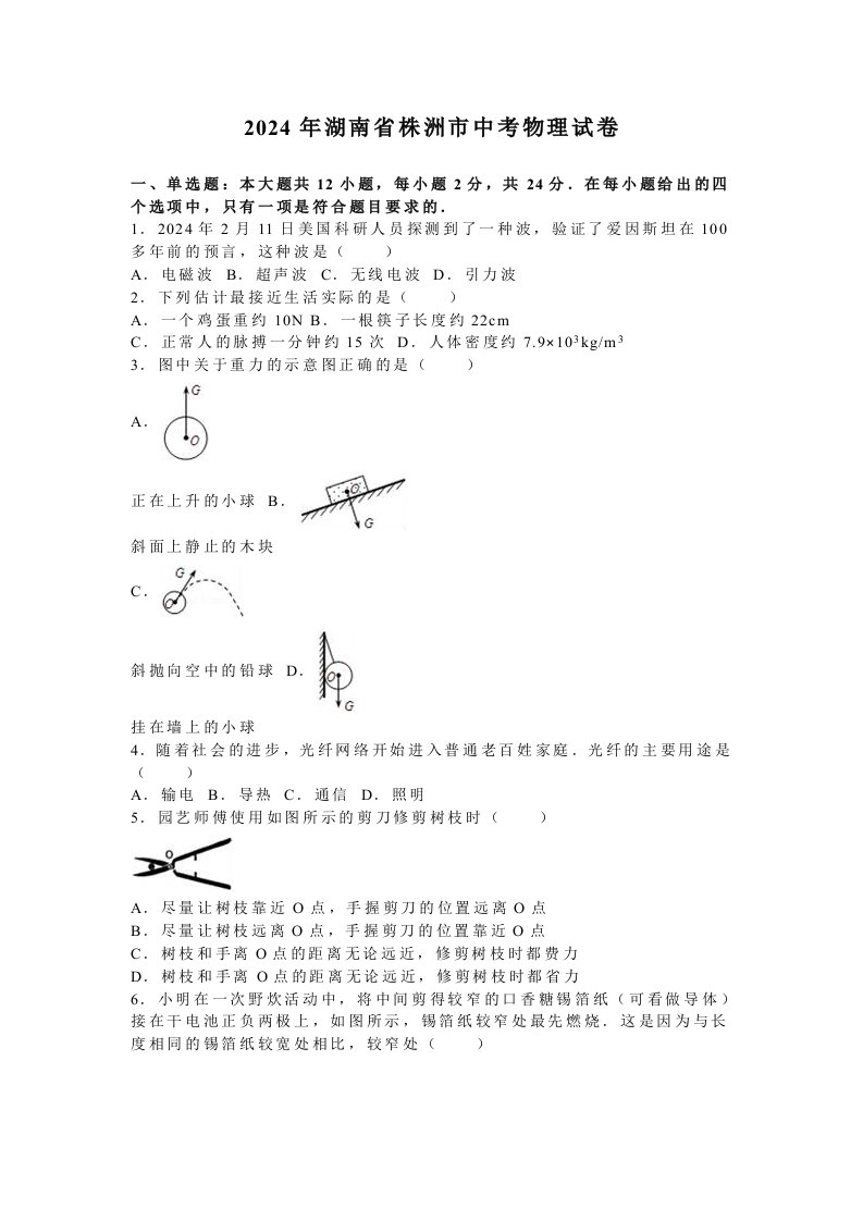 湖南省株洲市2024年中考物理试卷及答案解析word版