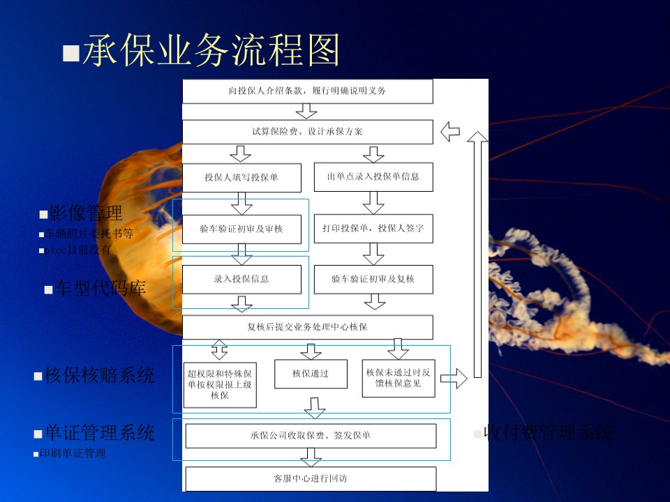 承保业务流程介绍