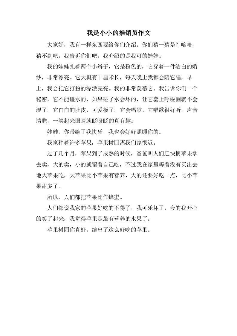 我是小小的推销员作文