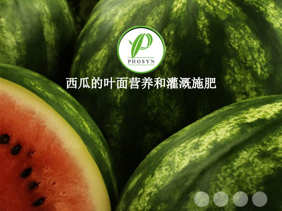 《西瓜营养方案》PPT课件