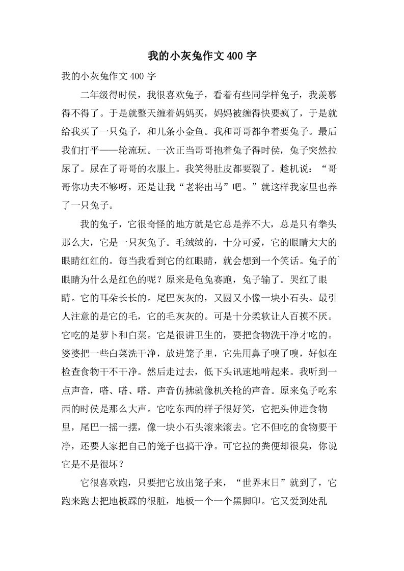 我的小灰兔作文400字