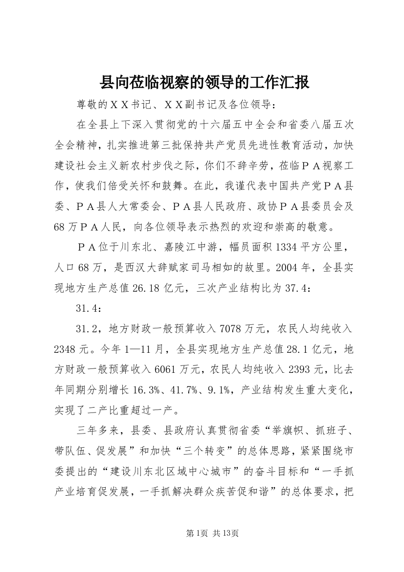 县向莅临视察的领导的工作汇报