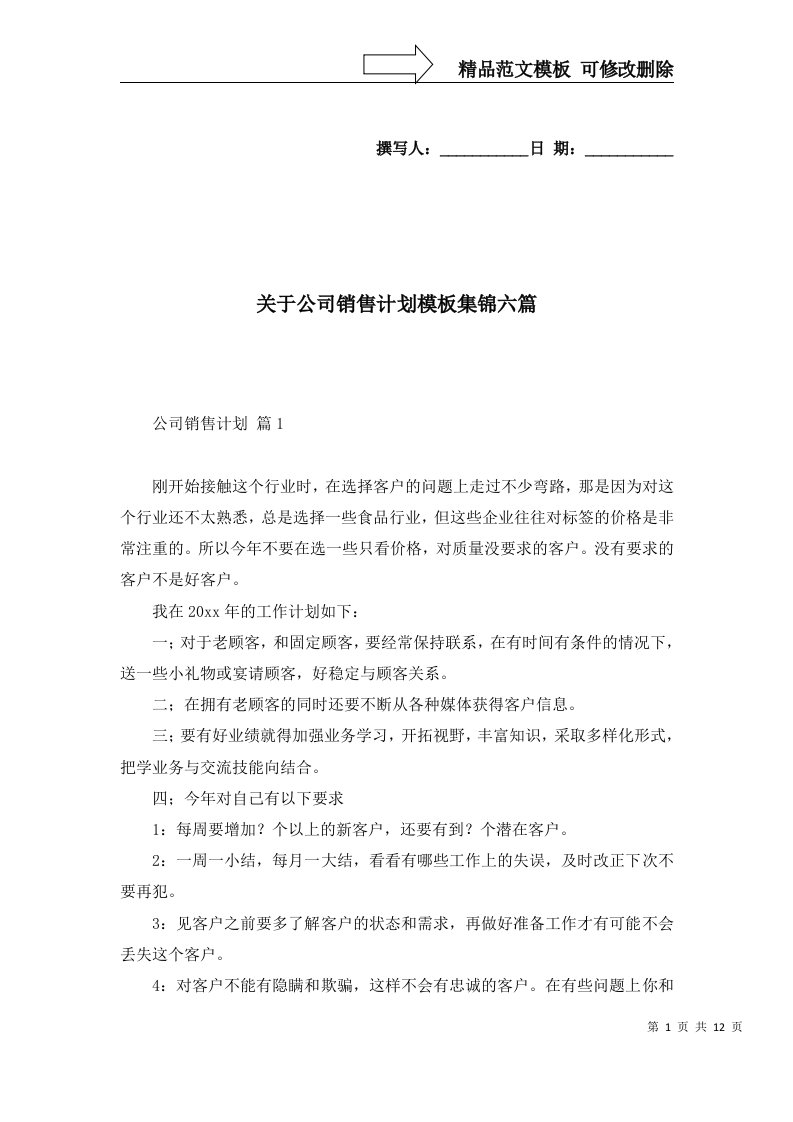 关于公司销售计划模板集锦六篇