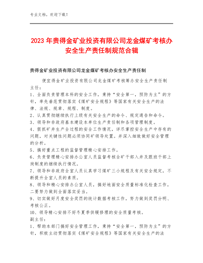 2023年贵得金矿业投资有限公司龙金煤矿考核办安全生产责任制规范合辑