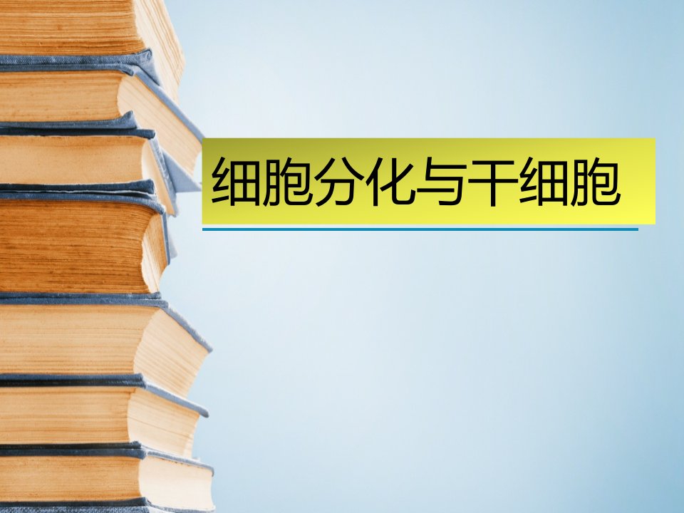 细胞分化干细胞细胞生物学ppt课件