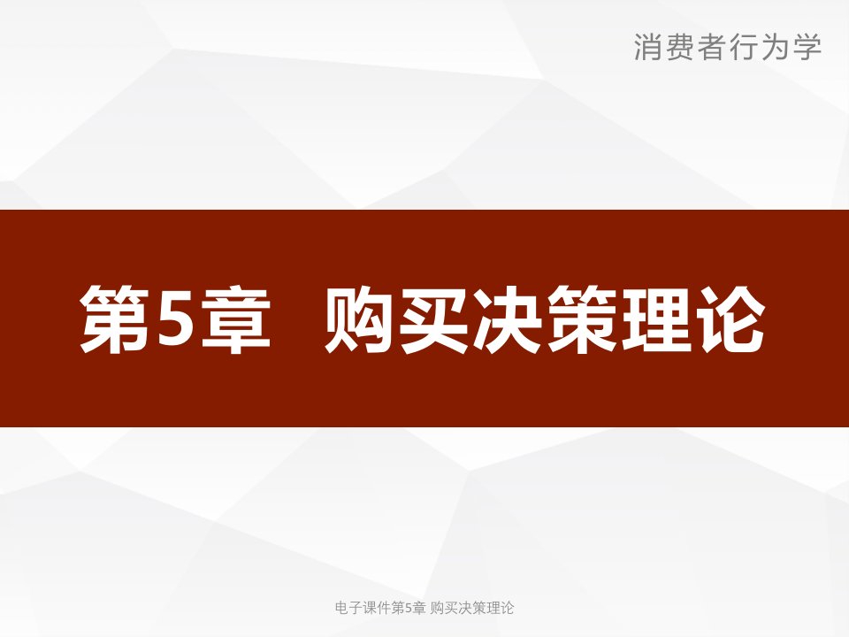 电子课件第5章购买决策理论