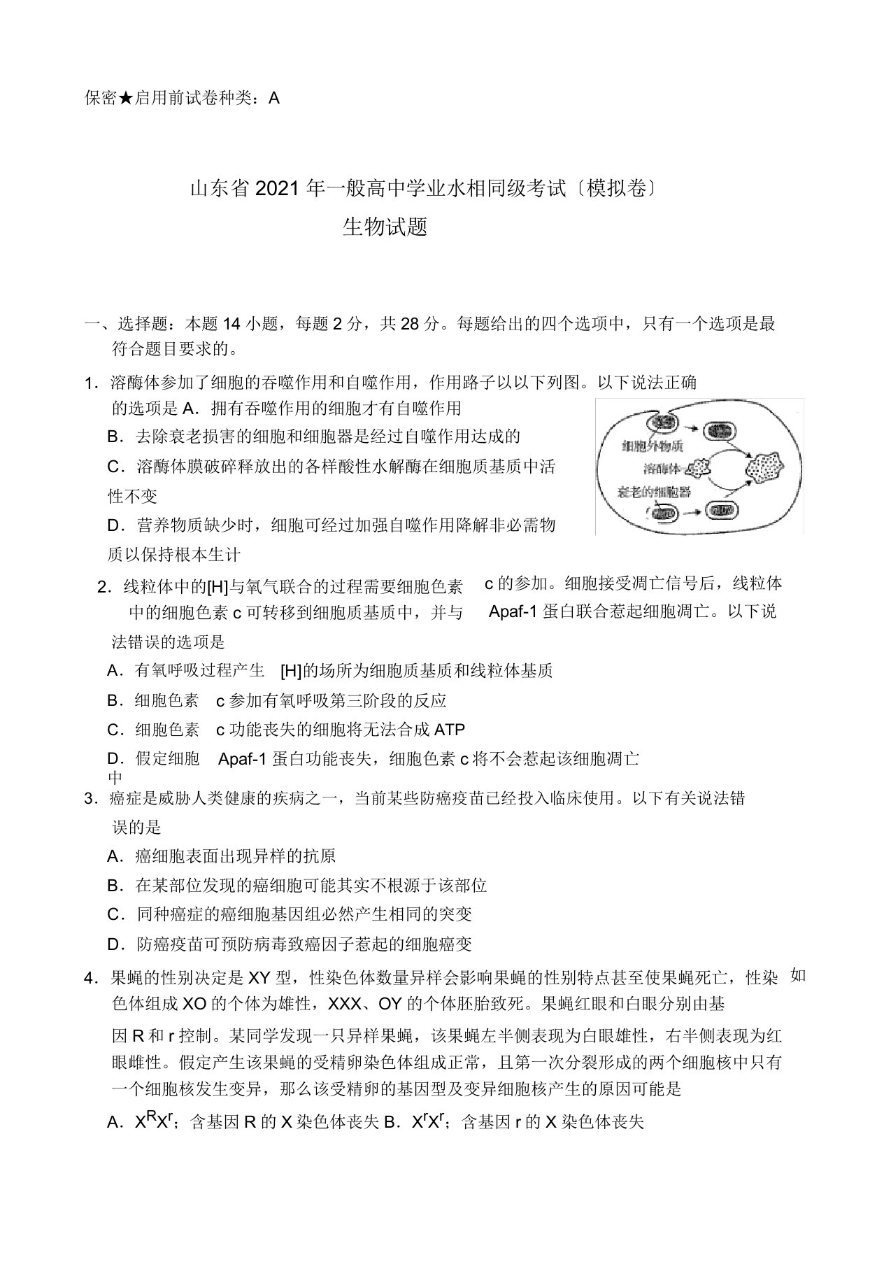 山东省普通高中学业水平等级考试模拟卷生物试题及参考