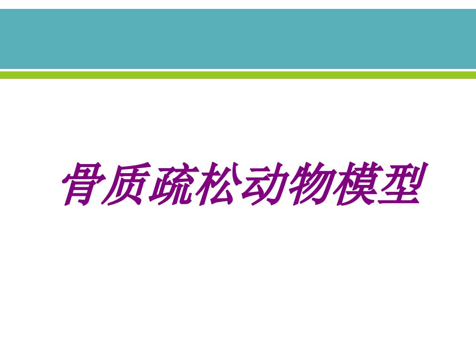 骨质疏松动物模型PPT医学课件